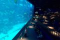 The “Ocean Restaurant” by Cat Cora